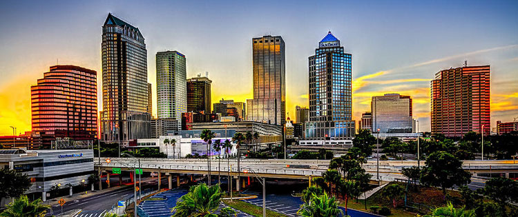 Florida banner