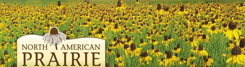 Prairie banner